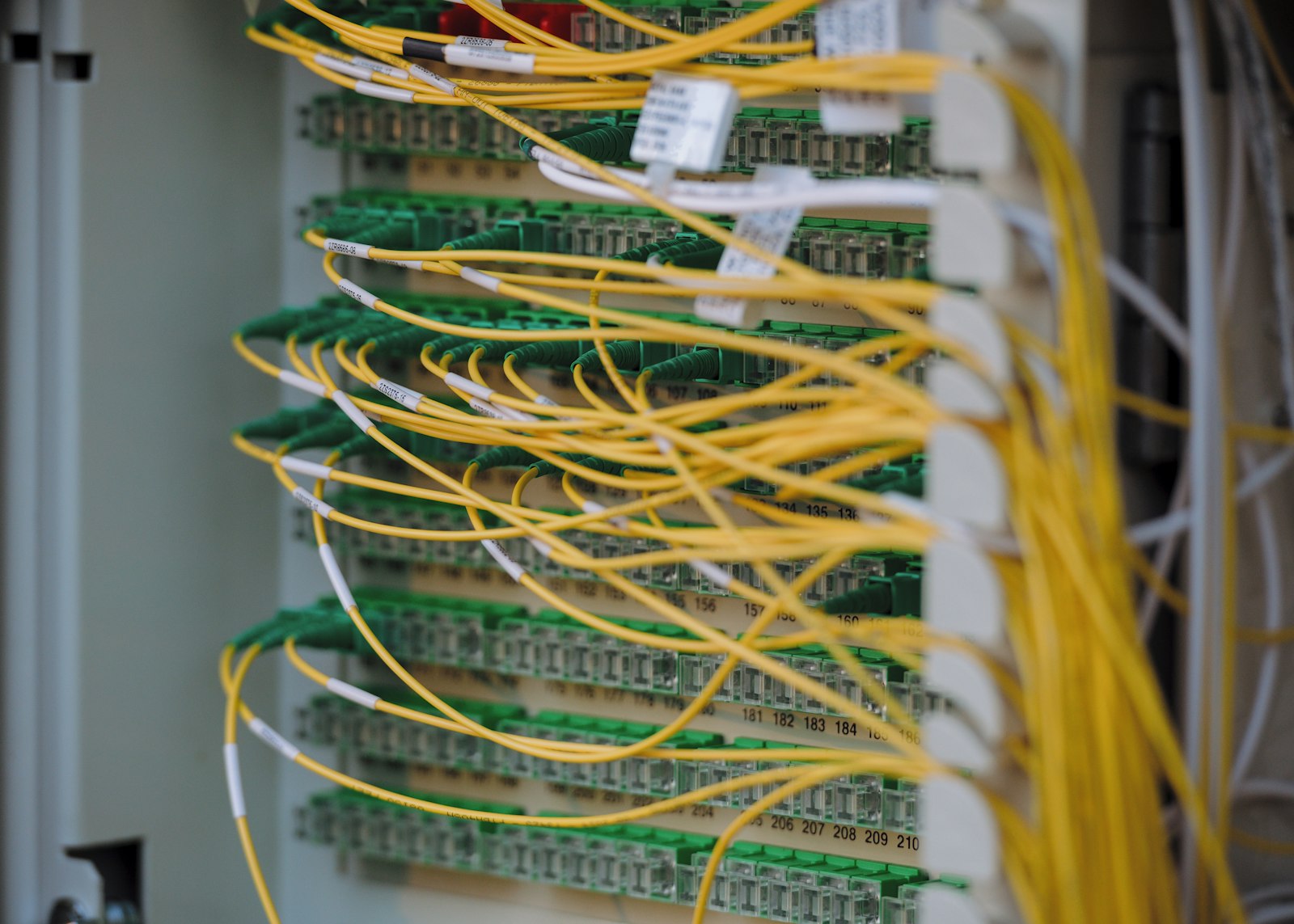 Yellow and green network cables connected to a switch
